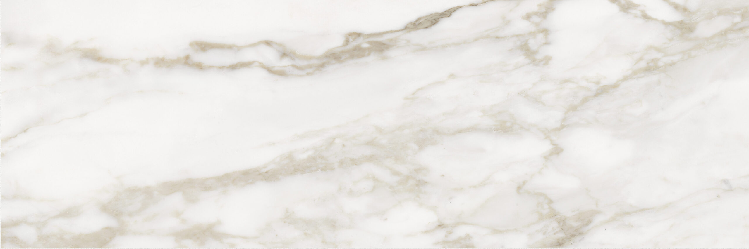 White Calacatta