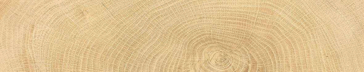 Rings_Oak