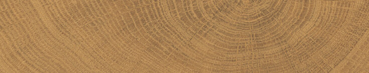 Rings_Walnut
